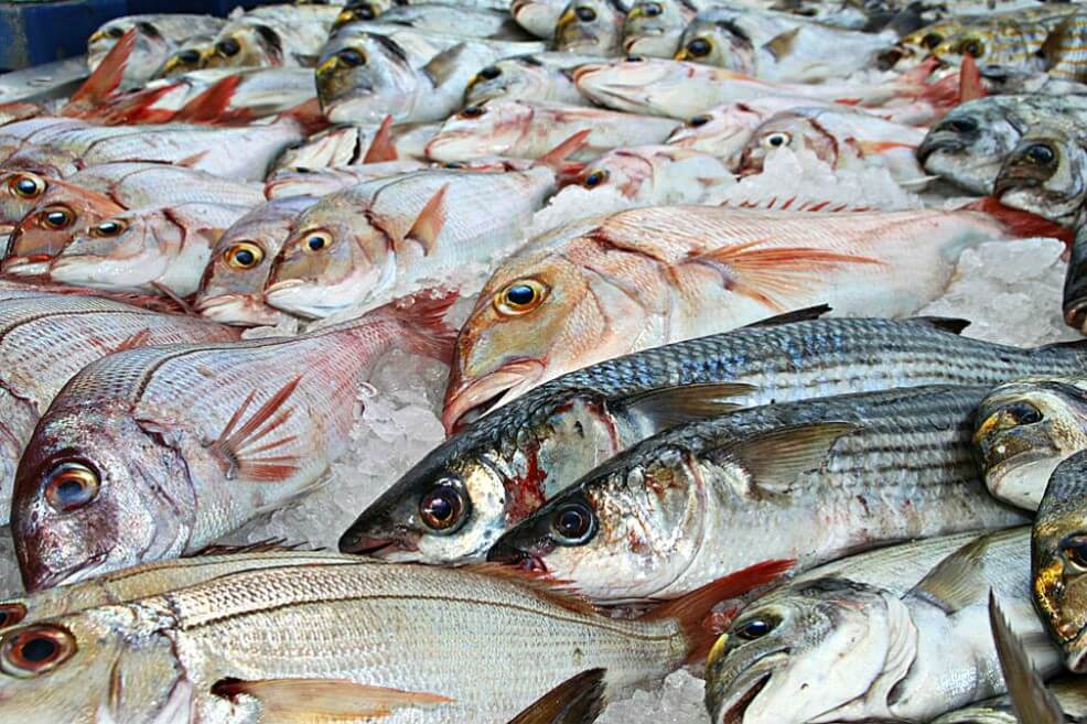 Hay suficiente oferta de pescado para Semana Santa, según Minagricultura