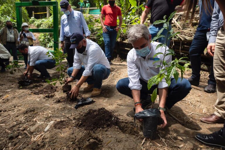Colombia está lista para jornada de plantaciones en todo el territorio nacional